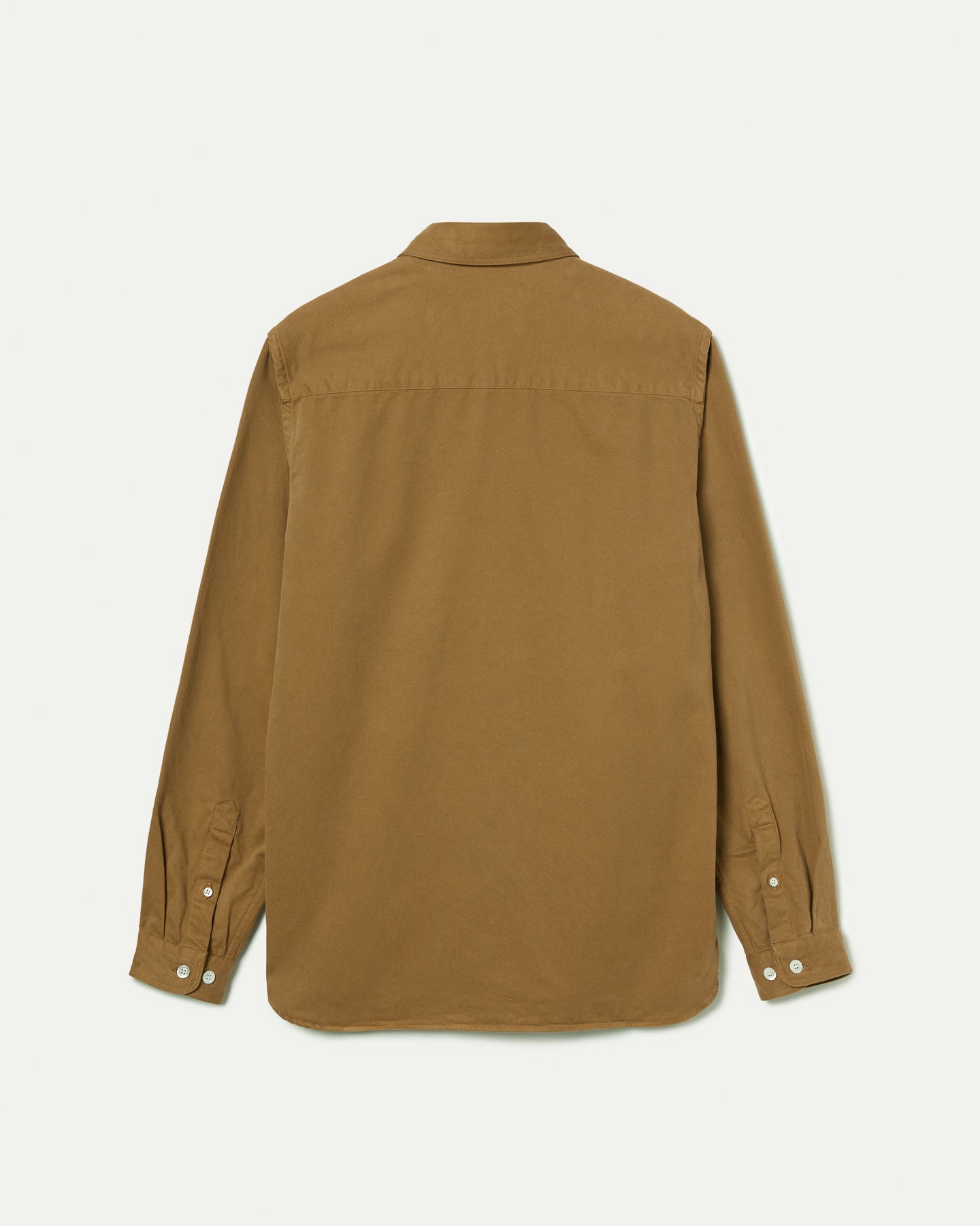 Pizarro Camel