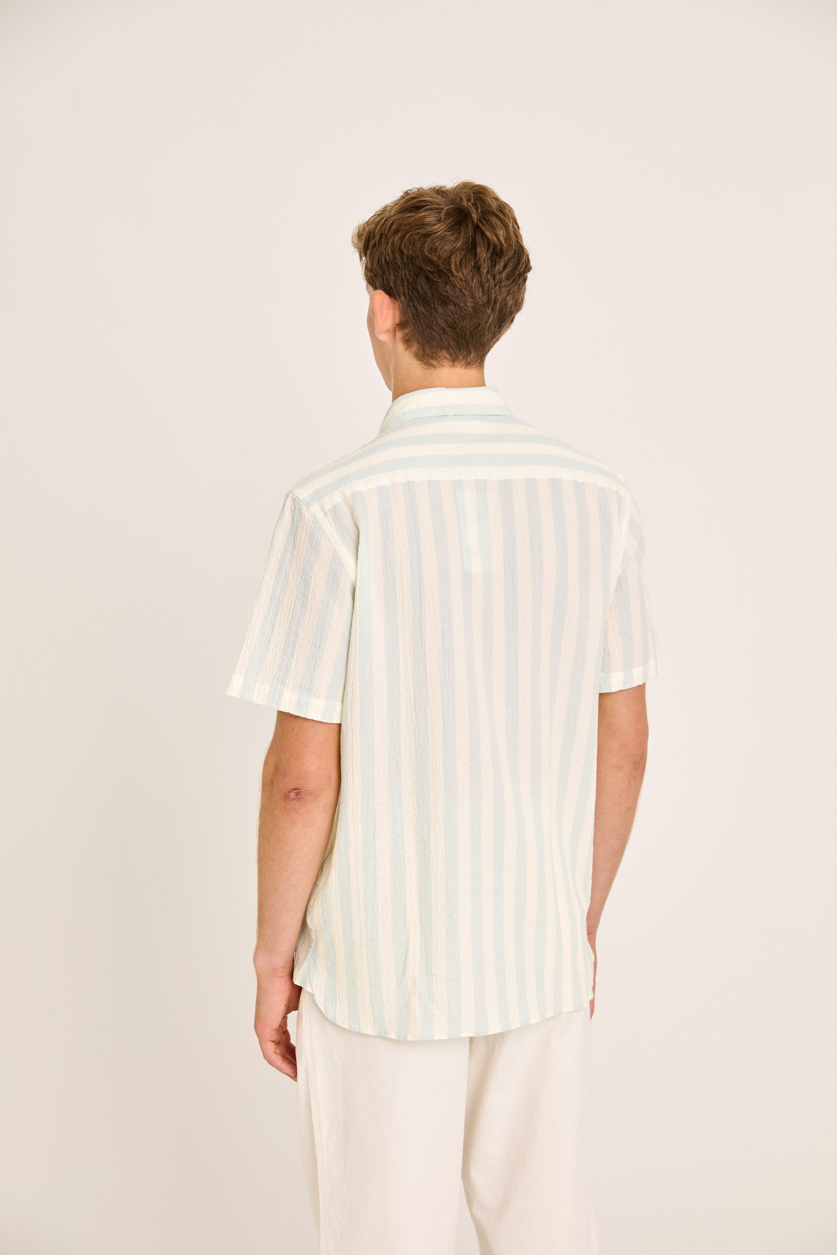 Alegre Green Spray Stripes