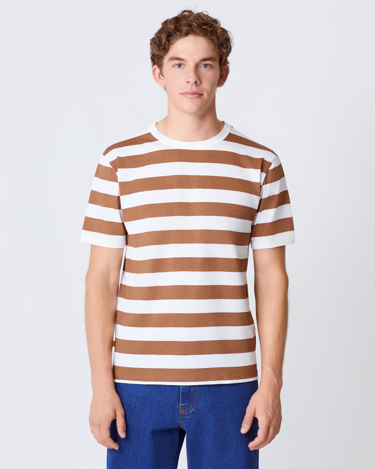 Meneres Aztec Brown Stripes