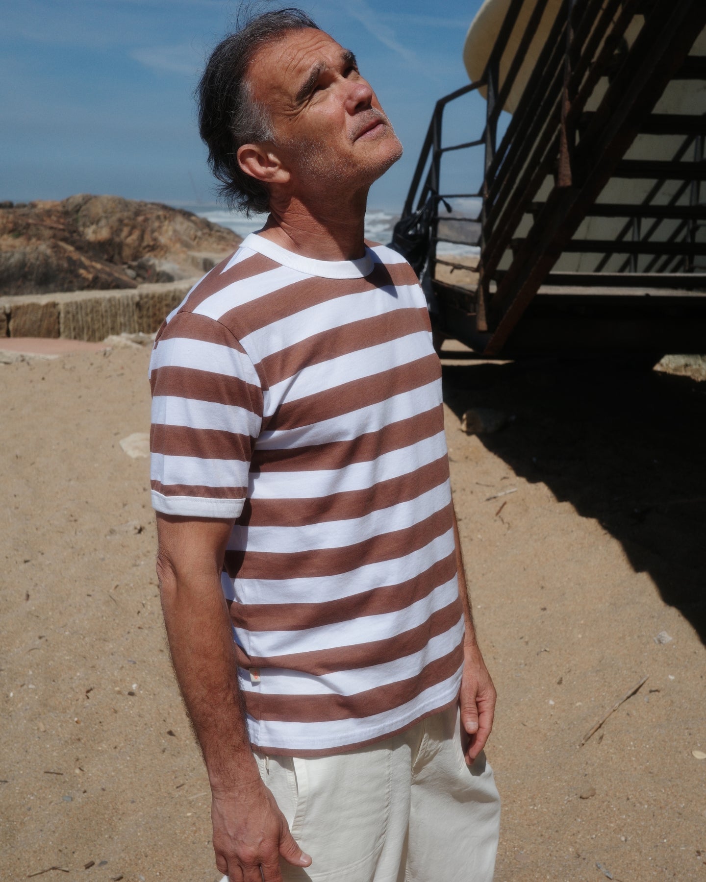 Meneres Aztec Brown Stripes