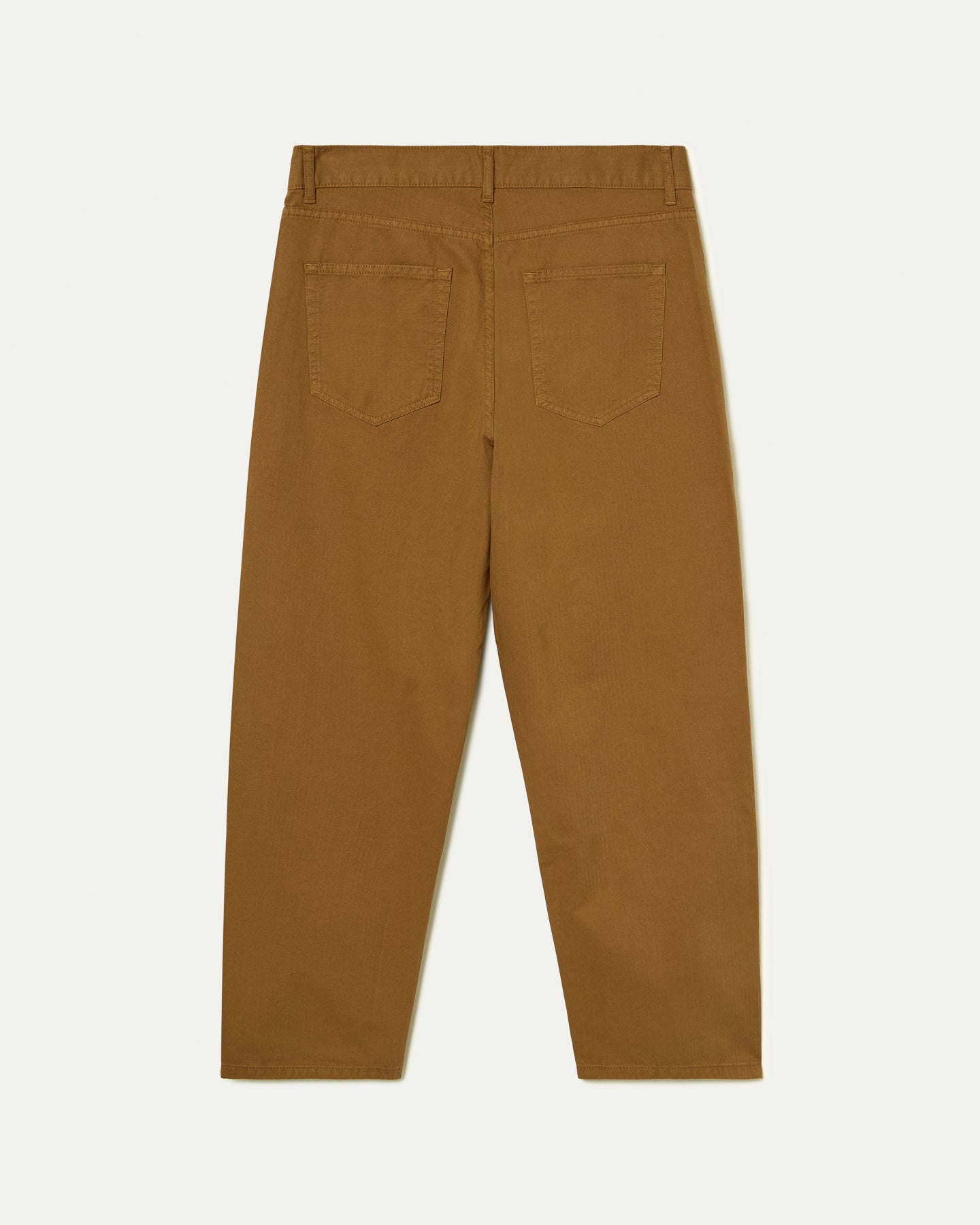 Medina Camel