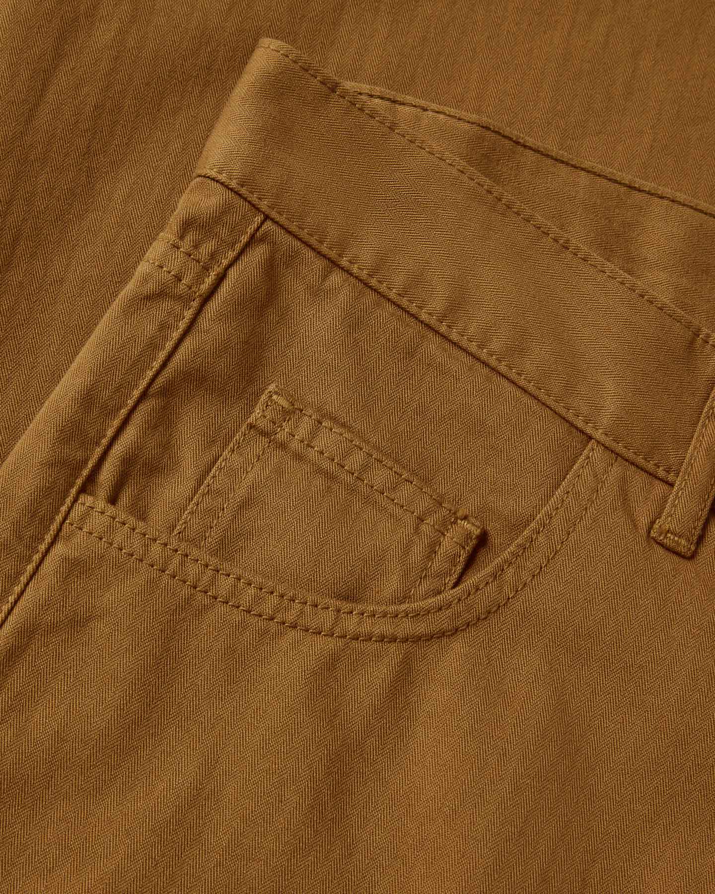 Medina Camel