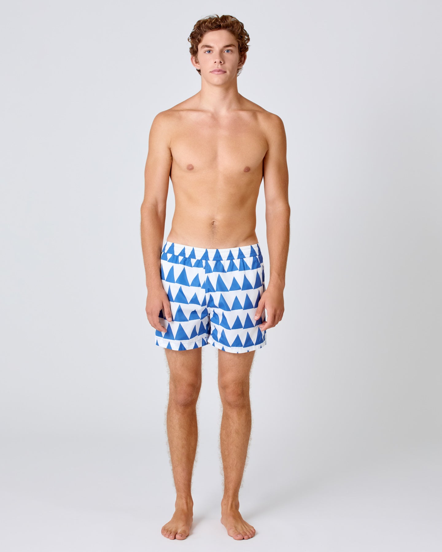 Fontes Indigo Triangles Pattern